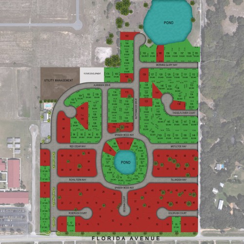 \\VIZ-NAS\VG Projects\Florida Truct_Cactus Land\Meadows\CAD\SITE PLAN 48X48 (1)